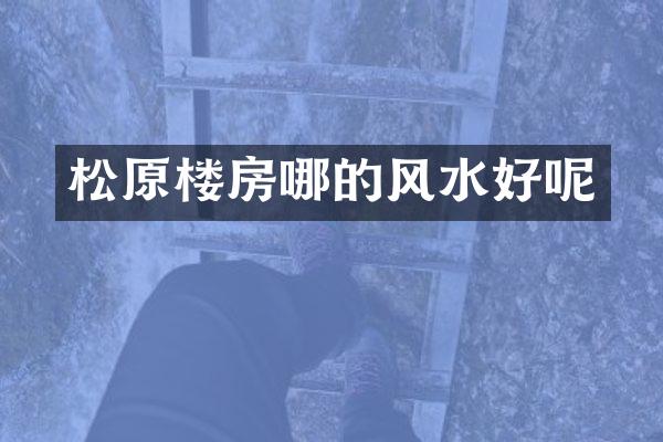 松原楼房哪的风水好呢