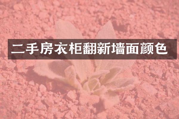 二手房衣柜翻新墙面颜色