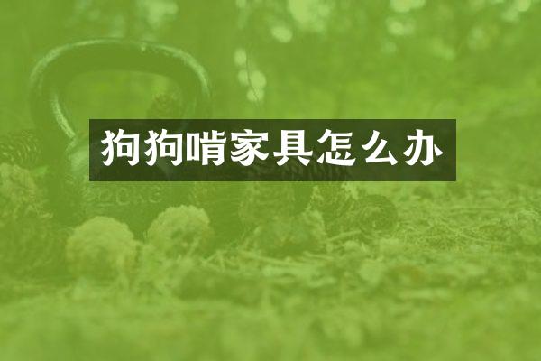 狗狗啃家具怎么办