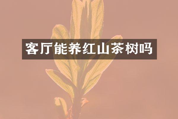 客厅能养红山茶树吗