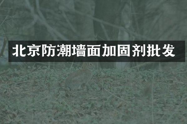 北京防潮墙面加固剂批发