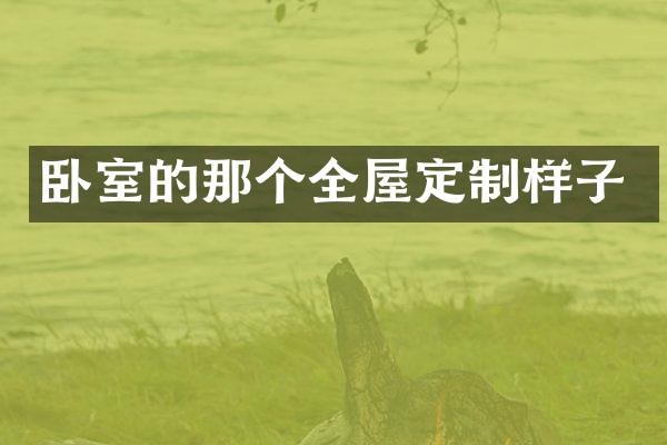 卧室的那个全屋定制样子