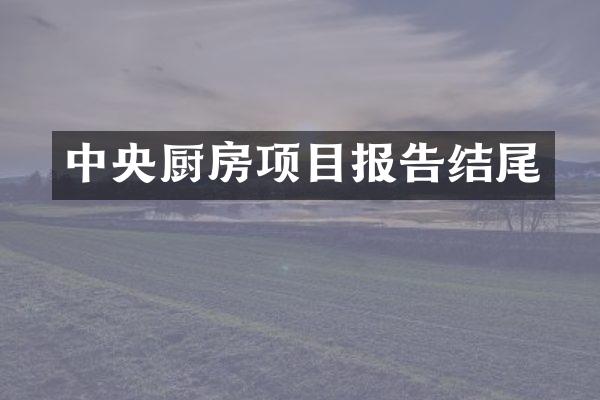 中央厨房项目报告结尾