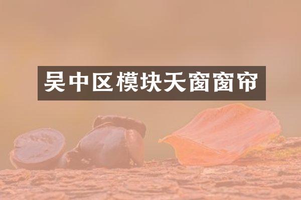 吴中区模块天窗窗帘