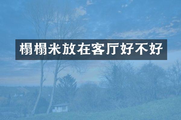 榻榻米放在客厅好不好