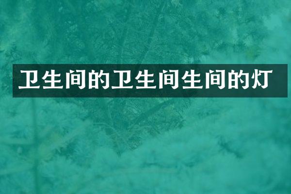 卫生间的卫生间生间的灯