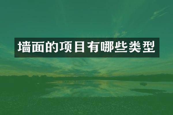 墙面的项目有哪些类型
