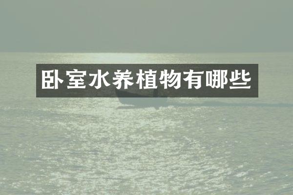 卧室水养植物有哪些