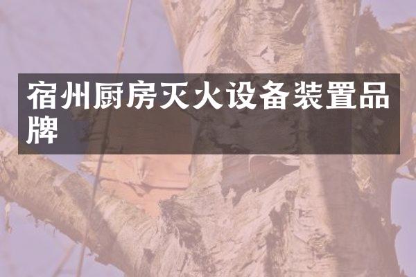 宿州厨房灭火设备装置品牌