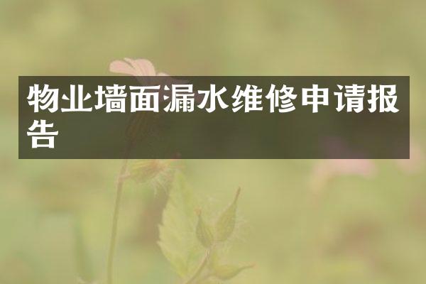 物业墙面漏水维修申请报告