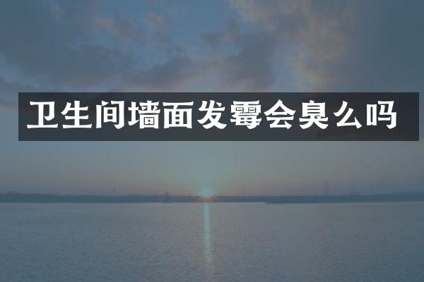 卫生间墙面发霉会臭么吗