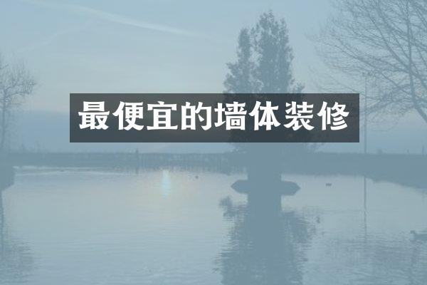 最便宜的墙体装修