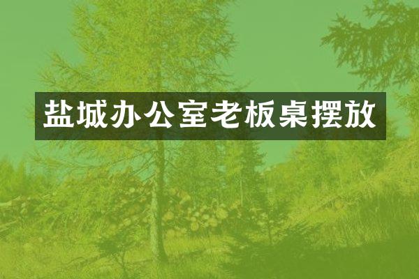 盐城办公室老板桌摆放