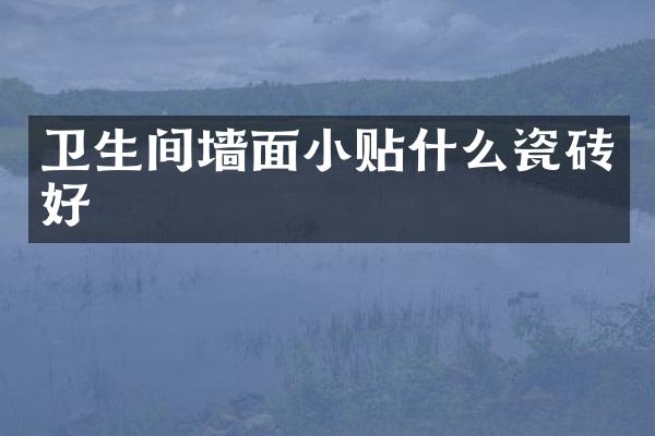 卫生间墙面小贴什么瓷砖好