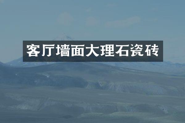 客厅墙面大理石瓷砖