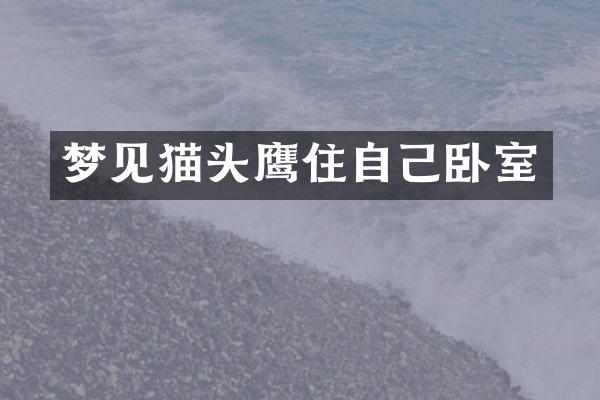 梦见猫头鹰住自己卧室