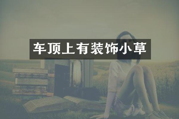车顶上有装饰小草