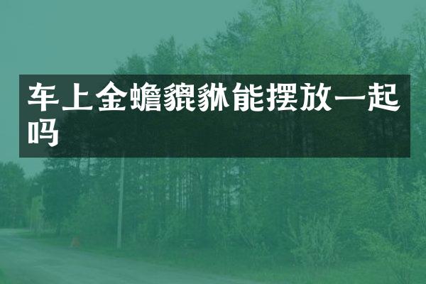 车上金蟾貔貅能摆放一起吗