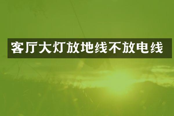 客厅大灯放地线不放电线