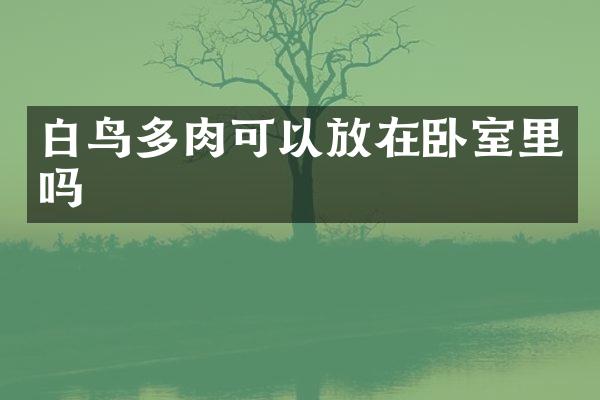 白鸟多肉可以放在卧室里吗