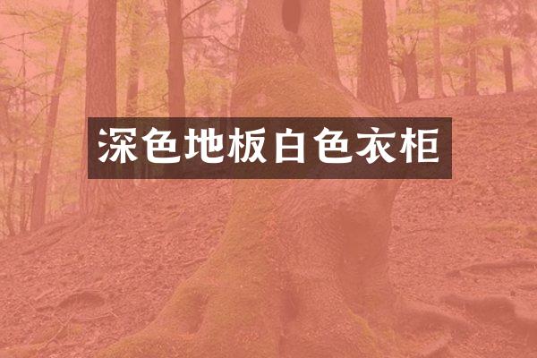 深色地板白色衣柜