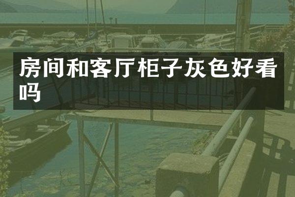 房间和客厅柜子灰色好看吗