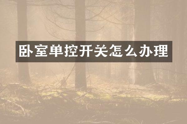 卧室单控开关怎么办理