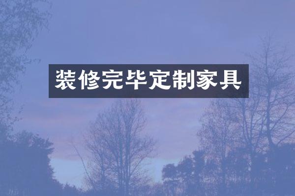 装修完毕定制家具