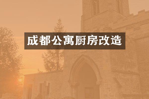 成都公寓厨房改造