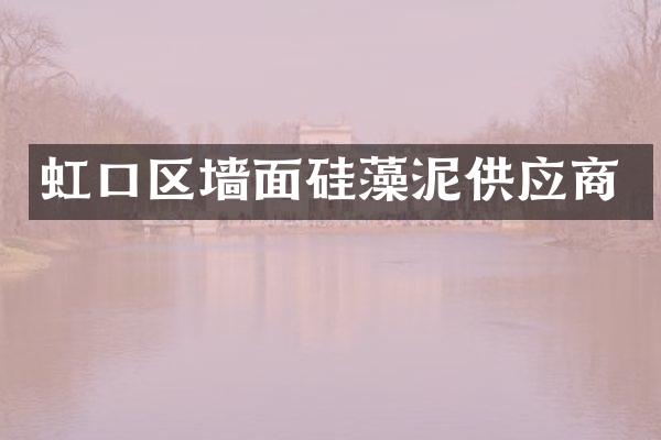 虹口区墙面硅藻泥供应商