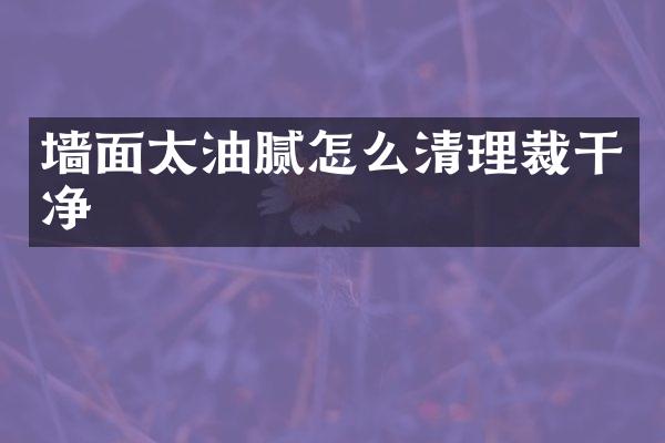 墙面太油腻怎么清理裁干净