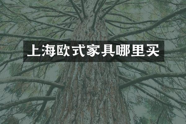 上海欧式家具哪里买