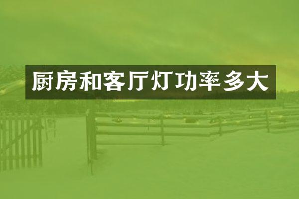 厨房和客厅灯功率多大