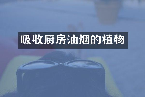 吸收厨房油烟的植物