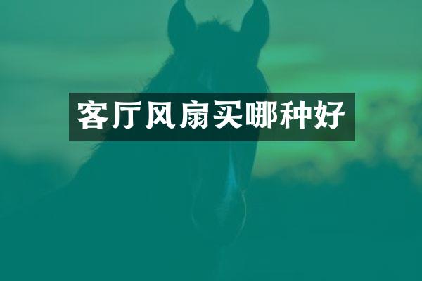 客厅风扇买哪种好