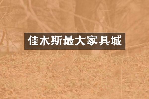 佳木斯最大家具城