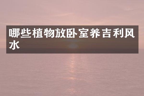 哪些植物放卧室养吉利风水