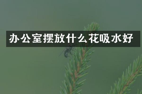 办公室摆放什么花吸水好