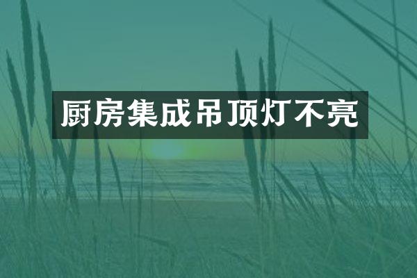 厨房集成吊顶灯不亮