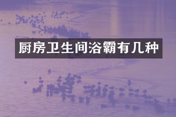 厨房卫生间浴霸有几种