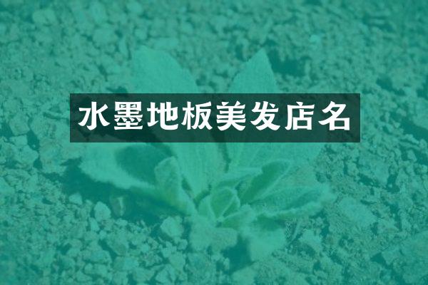 水墨地板美发店名