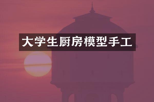 大学生厨房模型手工