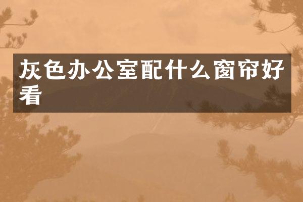 灰色办公室配什么窗帘好看