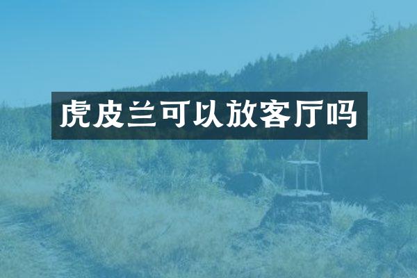 虎皮兰可以放客厅吗