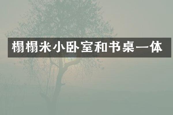 榻榻米小卧室和书桌一体