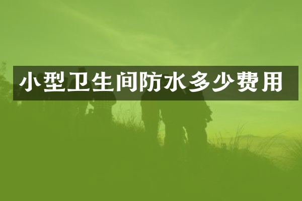 小型卫生间防水多少费用