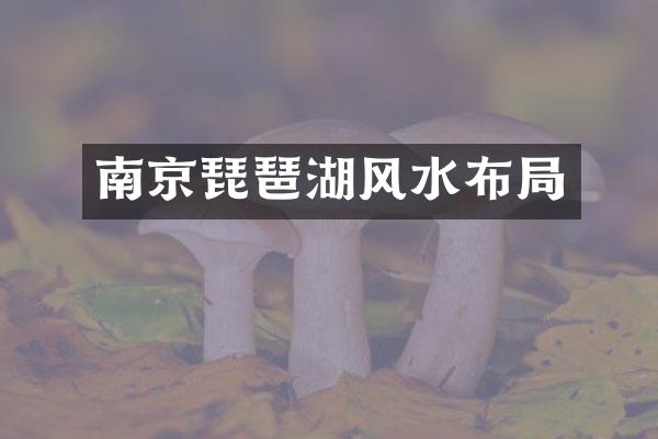 南京琵琶湖风水布局