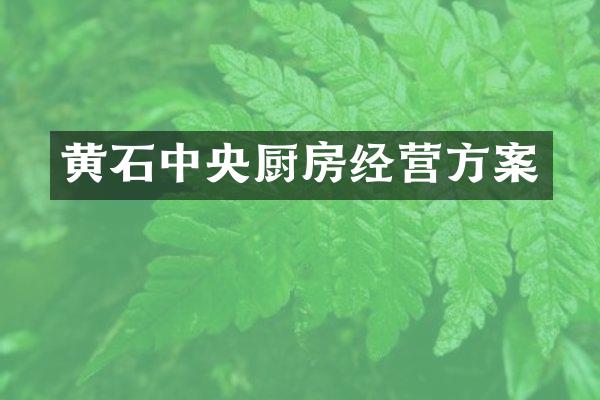 黄石中央厨房经营方案