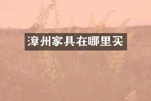 漳州家具在哪里买