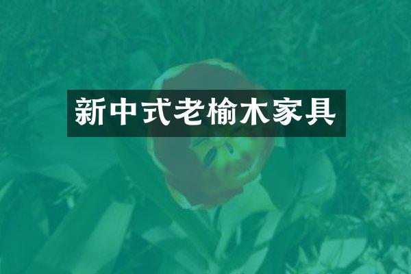 新中式老榆木家具